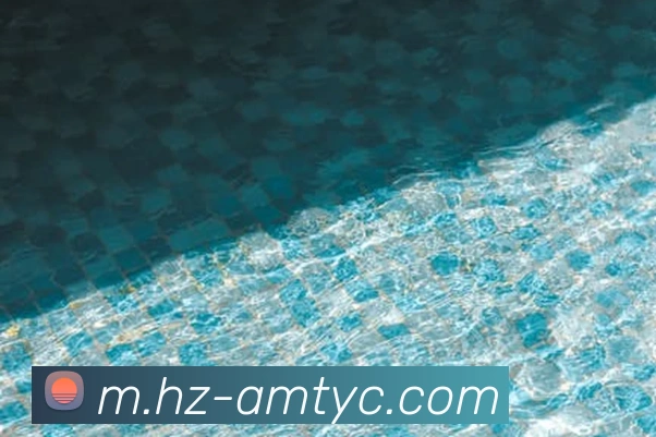 App Interface Preview